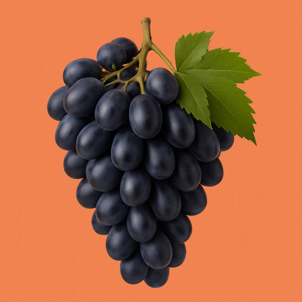 Export quality table grapes Table grapes prepared for wholesale export distribution